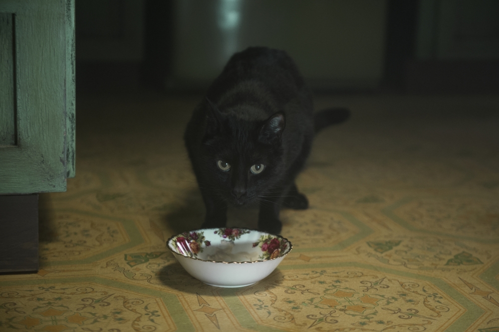 Sabrina Black Cat