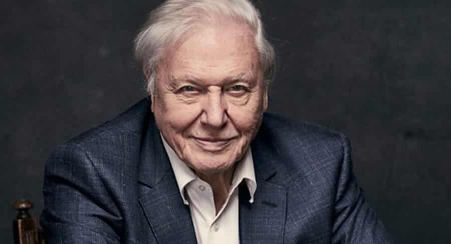 Eastern Repræsentere brochure SeaLight, Humble Bee secure Attenborough for Nine/BBC/Netflix co-pro