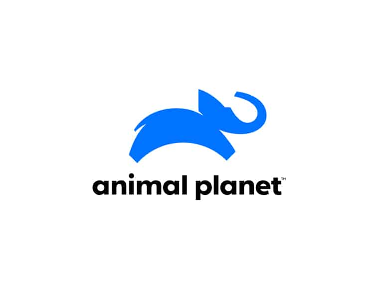 Another Discovery channel deal: Animal Planet to launch on Fetch