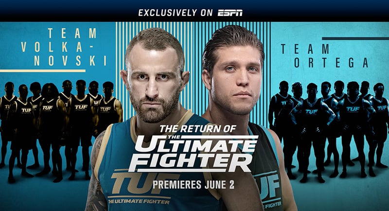 the return of the ultimate fighter