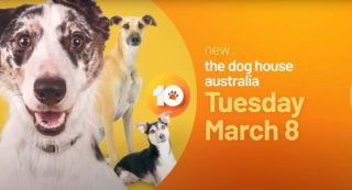the dog house australia