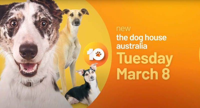 the dog house australia