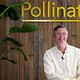 Pollinate CEO Howard Parry-Husbands