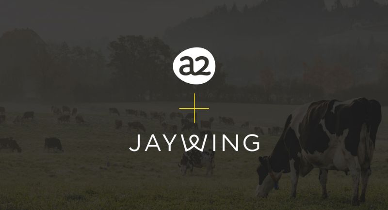 Jaywing - A2 + Jaywing