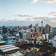 Pollinate - The Australia Pulse survey - Sydney