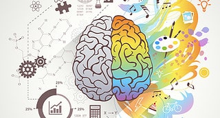 marketing art or science brain