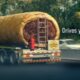 wildbean cafe Drives You Cravey campaign by Ogilvy