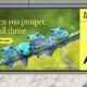 Billboard ad - Australian Ethical launches new brand campaign via indie B Corp, Paper Moose