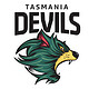 Tasmania Devils AFL logo