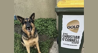 Christian o'connell bin campaign